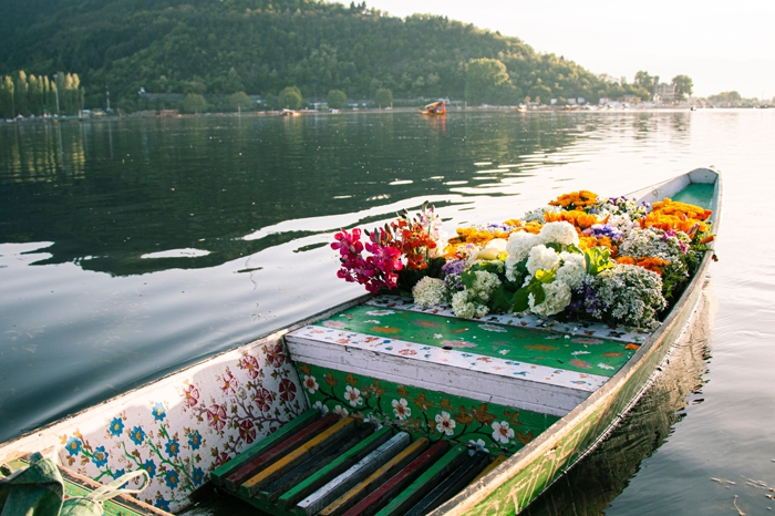 From Kashmir Paradise to Taj Mahal Wonder